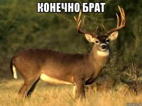 конечно брат 