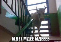  мдее мдее мдееее