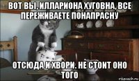вот вы, иллариона хуговна, все переживаете понапрасну отсюда и хвори. не стоит оно того