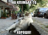 на клумбах-то хорошо!