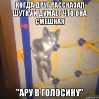 когда друг рассказал шутку и думает что она смешная "ару в голосину"