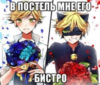 в постель мне его бистро