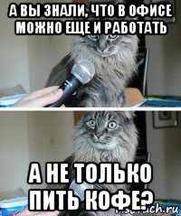 а вы знали, что в офисе можно еще и работать а не только пить кофе?