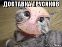 доставка трусиков 