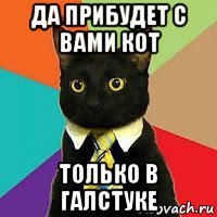 да прибудет с вами кот только в галстуке