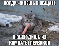 когда живешь в общаге и выходишь из комнаты перваков