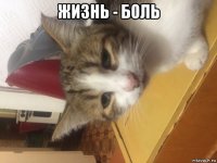 жизнь - боль 