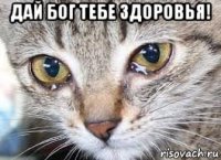дай бог тебе здоровья! 