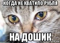 когда не хватило рубля на дошик