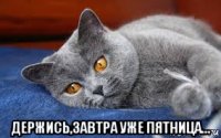  держись,завтра уже пятница...