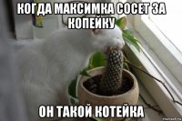 когда максимка сосет за копейку он такой котейка