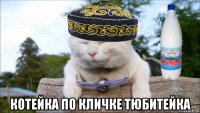  котейка по кличке тюбитейка