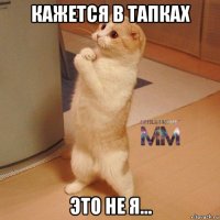 кажется в тапках это не я...