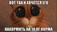 вот так и хочется его накормить на 10 кг корма