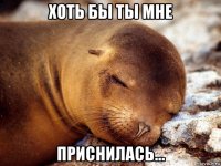 хоть бы ты мне приснилась...