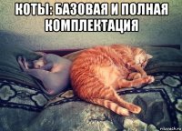 коты: базовая и полная комплектация 