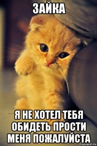 зайка я не хотел тебя обидеть прости меня пожалуйста