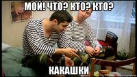 мой! что? кто? кто? какашки