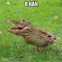 о как 