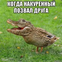 когда накуренный позвал друга 