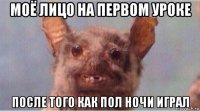 моё лицо на первом уроке после того как пол ночи играл