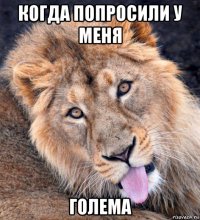 когда попросили у меня голема