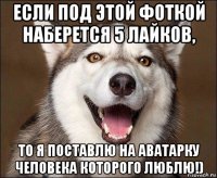 если под этой фоткой наберется 5 лайков, то я поставлю на аватарку человека которого люблю!)