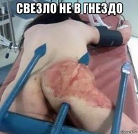 свезло не в гнездо 
