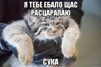 я тебе ебало щас расцарапаю сука