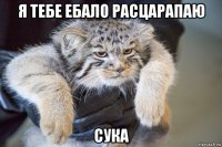 я тебе ебало расцарапаю сука