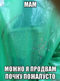 мам можно я продвам почку пожалусто