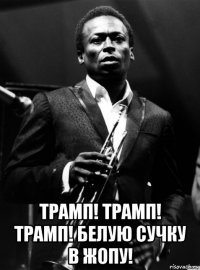  трамп! трамп! трамп! белую сучку в жопу!