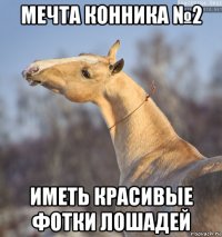 мечта конника №2 иметь красивые фотки лошадей