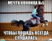 мечта конника №5 чтобы лошадь всегда слушалась