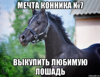 мечта конника №7 выкупить любимую лошадь