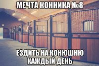 мечта конника №8 ездить на конюшню каждый день