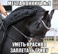мечта конника №9 уметь красиво заплетать гриву