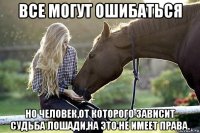 все могут ошибаться но человек,от которого зависит судьба лошади,на это не имеет права.