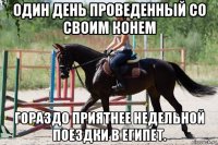 один день проведенный со своим конем гораздо приятнее недельной поездки в египет.