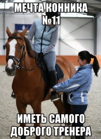 мечта конника №11 иметь самого доброго тренера