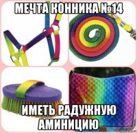 мечта конника №14 иметь радужную аминицию