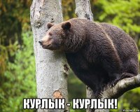  курлык - курлык!