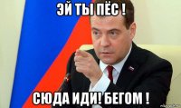 эй ты пёс ! сюда иди! бегом !