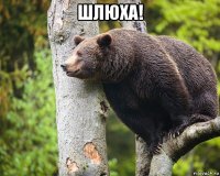 шлюха! 