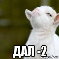  дал -2