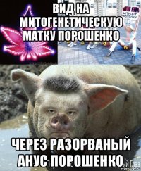 вид на митогенетическую матку порошенко через разорваный анус порошенко