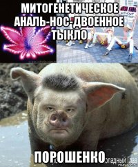митогенетическое аналь-нос-двоенное тыкло порошенко