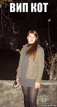 вип кот 