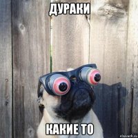дураки какие то