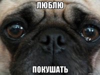люблю покушать